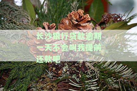 长沙银行贷款逾期一天不会叫我提前还款吧
