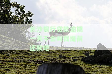 长沙银行贷款逾期一天不会叫我提前还款吧怎么办及相关问题