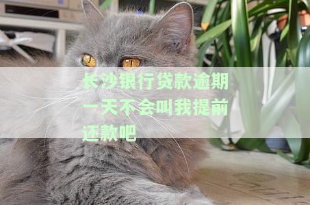 长沙银行贷款逾期一天不会叫我提前还款吧