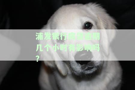 浦发银行房贷逾期几个小时有影响吗?