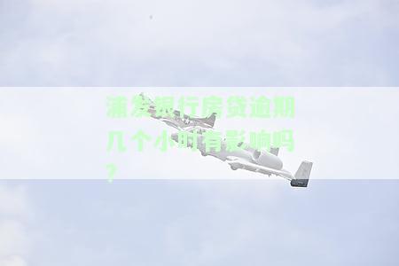 浦发银行房贷逾期几个小时有影响吗?