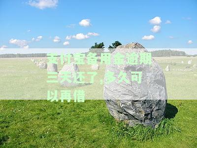 支付宝备用金逾期三天还进去还能取出来吗？