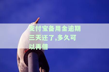 支付宝备用金逾期三天还了,多久可以再借