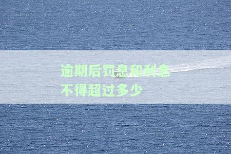 国家出台减免信用卡逾期政策