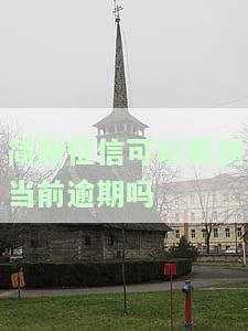 简版征信显示什么内容及其查询记录