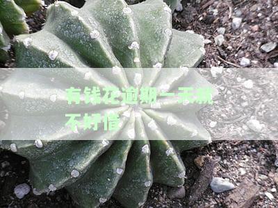 有钱花逾期一天就不好借
