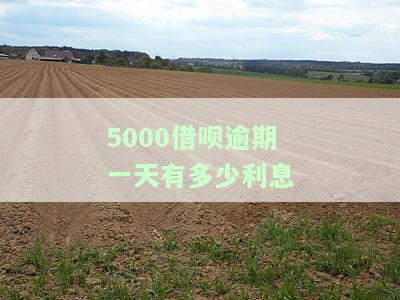 借呗5000逾期一个月会有什么后果，有奖问答