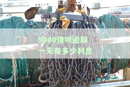 5000借呗逾期一天有多少利息