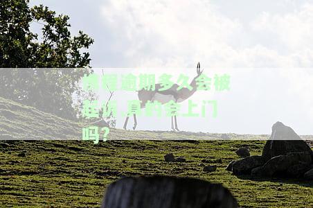 携程逾期之后不能还钱了是什么原因及应对方法