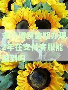 支付借呗逾期办理2年在支付客服能查到吗，安全吗？