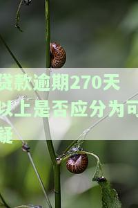 贷款逾期270天以上是否应分为可疑