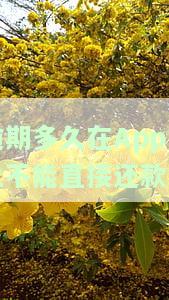 逾期多久在App上不能直接还款了