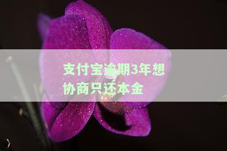 支付宝逾期不还后过几年有钱了可以协商吗