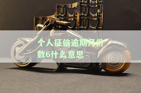 个人征信逾期月份数6什么意思