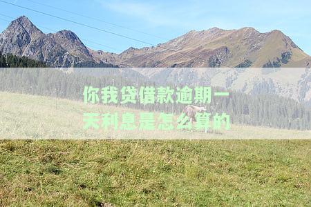 你我贷借款逾期一天利息是怎么算的呢，及时还了