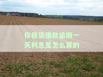 你我贷借款逾期一天利息是怎么算的