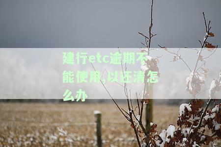 建行etc逾期不能使用,以还清怎么办