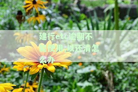 建行etc逾期不能使用,以还清怎么办