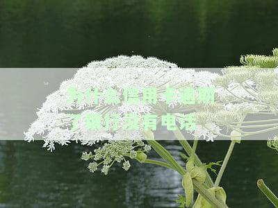 为什么信用卡逾期了银行没有电话
