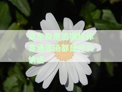 京东白条逾期给你寄通告函都是什么快递