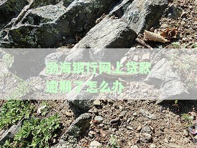 渤海银行贷款还不上怎么办，后果及征信影响