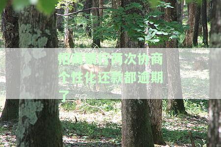 招商银行协商个性化最多能分多少期贷款及所需证明