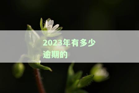 2023年有多少逾期的