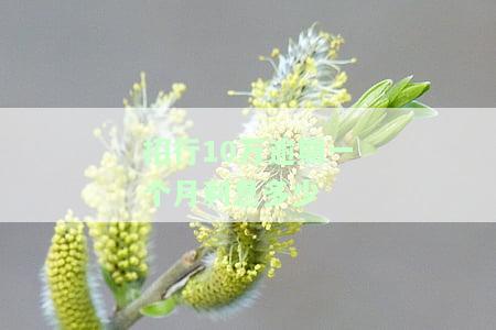 招行10万逾期一个月利息多少