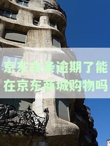 逾期了能在购物吗，安全吗？