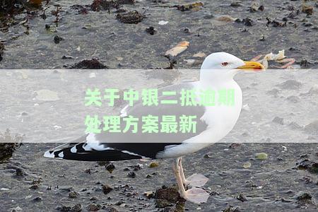 关于中银二抵逾期处理方案最新
