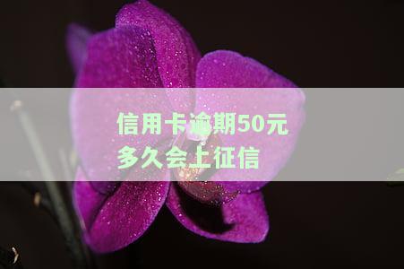 信用卡逾期50元多久会上征信