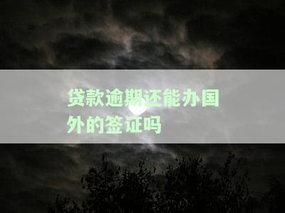 贷款逾期还能办国外的签证吗知乎：能否办理国外签证如果贷款逾期了？