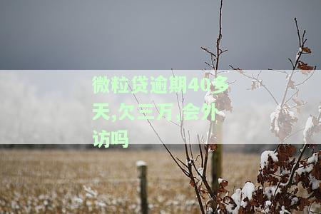 微粒贷逾期3万会被告诈骗吗