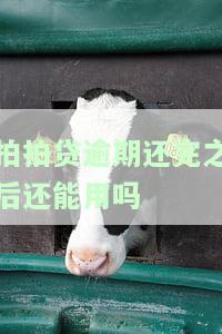 拍拍贷逾期还完之后还能用吗