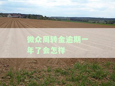 微众周转金逾期一年了会怎样