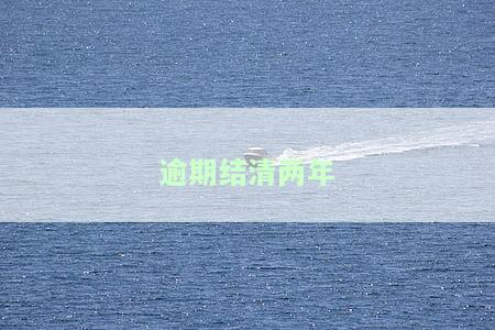 逾期结清两年后能办房贷吗？