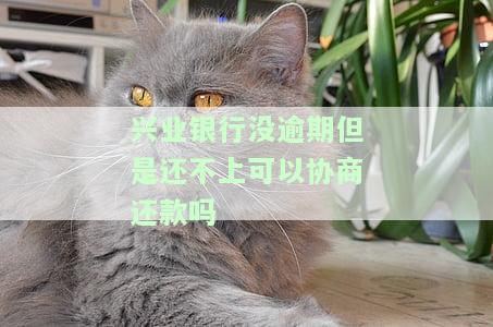 兴业银行没逾期但是还不上可以协商还款吗