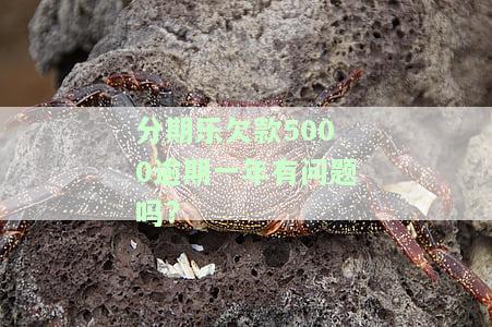 分期乐欠款5000逾期一年有问题吗?