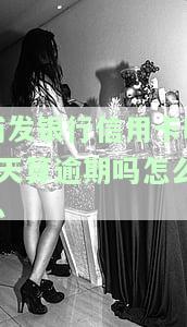 浦发银行信用卡晚6天算逾期怎么办理分期还款？