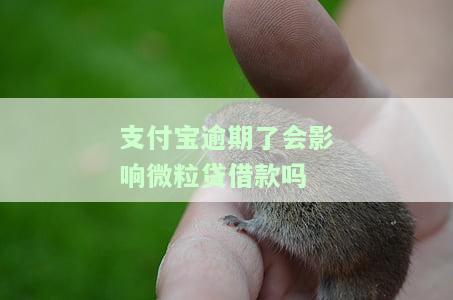 支付宝逾期了会影响微粒贷借款吗