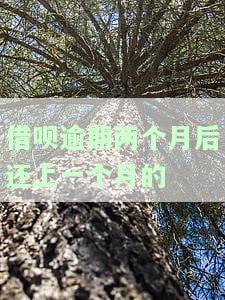 借呗逾期两个月后还上一个月的