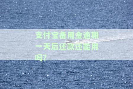 支付宝备用金逾期一天后还款还能用吗安全可靠？