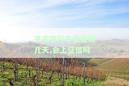 平安银行车贷逾期几天会上征信吗，怎么办？