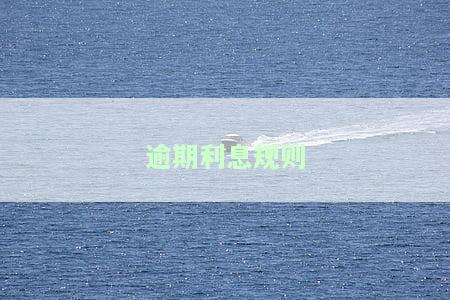 逾期利息规则