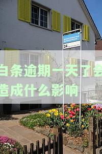 白条逾期一天了会造成什么影响