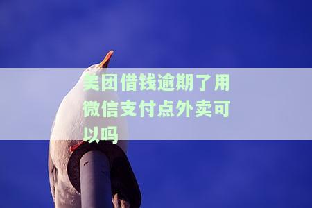 美团借钱逾期用微信支付点外卖安全吗？