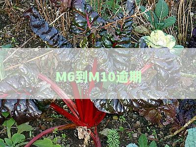 逾期m6是多少天的，逾期m7是逾期多少天的