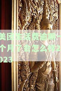 美团生活费逾期一个月了会怎么样2023