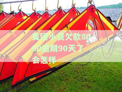 美团小贷欠款8000逾期90天了会怎样