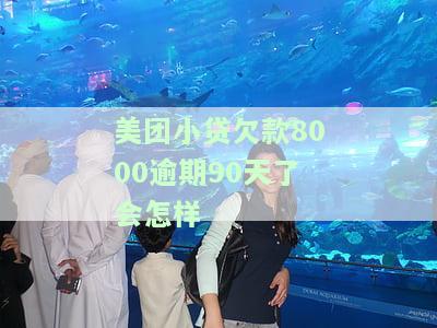 美团小贷欠款8000逾期90天了会怎样
